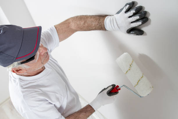Best Post-Construction Mold Inspection  in Upper Ack, NY