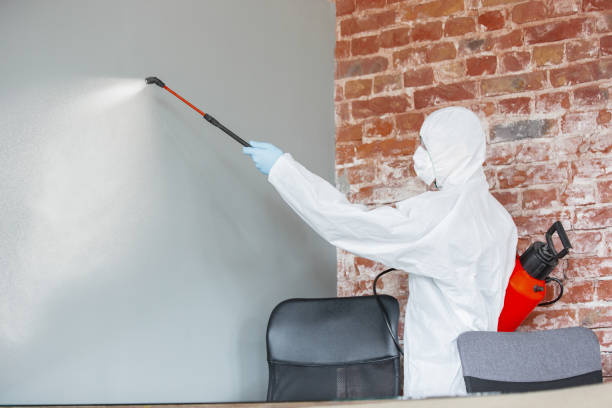 Best Forensic Mold Investigation  in Upper Ack, NY