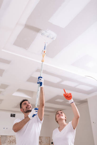 Upper Nyack, NY Mold Removal Company