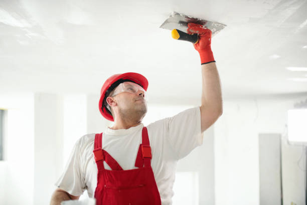 Best Water Damage & Mold Remediation  in Upper Ack, NY