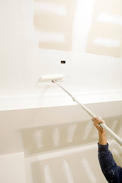 Best Mold Documentation for Insurance Claims  in Upper Ack, NY