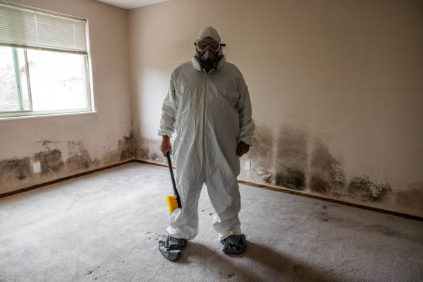 Best Post-Remediation Verification Testing  in Upper Ack, NY