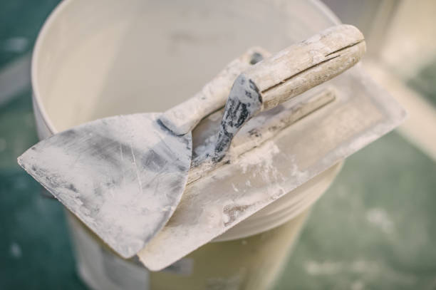 Best Mold-Related Health Consultation  in Upper Ack, NY